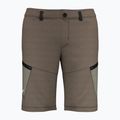 Salewa Lavaredo Hemp pánské turistické šortky hnědé 00-0000028033 5