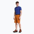 Salewa pánské trekingové šortky Puez 3 orange 00-0000027401 2