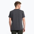 Pánské trekingové tričko Salewa Pure Box Dry grey 00-0000028378 3