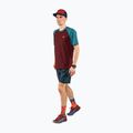 Pánské běžecké tričko DYNAFIT Alpine Pro maroon 08-0000070964