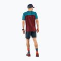 Pánské běžecké tričko DYNAFIT Alpine Pro maroon 08-0000070964 2
