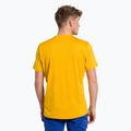 Salewa pánské trekové tričko Puez Hybrid 2 Dry žlutá 27397 3