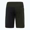 Salewa Lavaredo Hemp Ripstop pánské lezecké šortky černé 00-0000028552 6