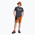Salewa pánské lezecké šortky Lavaredo Hemp Ripstop hnědé 00-0000028552 2