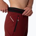 Dámské trekové kalhoty Salewa Pedroc 2 DST 2/1 maroon 00-0000028588 5