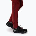 Dámské trekové kalhoty Salewa Pedroc 2 DST 2/1 maroon 00-0000028588 8
