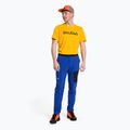 Pánské trekingové kalhoty Salewa Pedroc 2 DST Light blue 00-0000028597 2