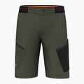 Pánské trekingové šortky Salewa Pedroc 3 DST Cargo green 00-0000028601 5