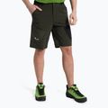 Pánské trekingové šortky Salewa Pedroc 3 DST Cargo green 00-0000028601