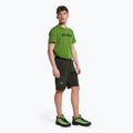 Pánské trekingové šortky Salewa Pedroc 3 DST Cargo green 00-0000028601 2