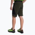 Pánské trekingové šortky Salewa Pedroc 3 DST Cargo green 00-0000028601 3