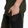 Pánské trekingové šortky Salewa Pedroc 3 DST Cargo green 00-0000028601 4
