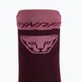 Běžecké ponožky DYNAFIT Transalper burgundy 4