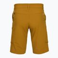Pánské trekové šortky Salewa Puez DST Cargo golden brown 2