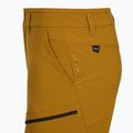 Pánské trekové šortky Salewa Puez DST Cargo golden brown 4