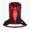 Dámský turistický batoh Salewa Alp Trainer 20 l syrah 2