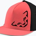DYNAFIT Tech Trucker cabana baseballová čepice
