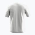 Pánské tričko Salewa Eagle Geometric T-shirt optical white 2