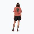Dámské tričko Salewa Eagle Sunset Loose etruscan red 3