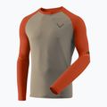 Pánské běžecké triko Longsleeve DYNAFIT Alpine Pro alabama/5490i 4