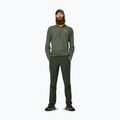Pánské tričko Longsleeve Salewa Pedroc Dry Wind Half Zip Tee faded green 2