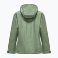 Dámská nepromokavá bunda Salewa Puez Aqua 4 Ptx 2.5L pastel green 2