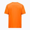 Pánské tričko Salewa Pedroc Dry Light turmeric 2
