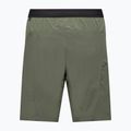 Pánské trekingové šortky Salewa Pedroc 4 DST Cargo faded green 2