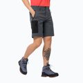 Pánské trekové kraťasy Jack Wolfskin Active Track šedé 1503791_6116