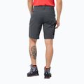 Pánské trekové kraťasy Jack Wolfskin Active Track šedé 1503791_6116 2