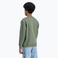 Pánská mikina Alpha Industries Basic dark olive 5