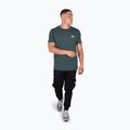 Pánské tričko Alpha Industries Basic Small Logo T-shirt navy green 2