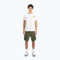 Pánské tričko Alpha Industries Pearl Harbor Back Print white 2