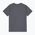 Pánské tričko Alpha Industries Hawaii vintage grey 8