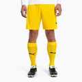 Pánské fotbalové legíny PUMA Team Liga Core cyber yellow/puma black 2