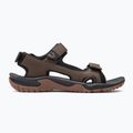 Pánské trekingové sandály Jack Wolfskin Lakewood Cruise hnědé 4019011 2