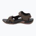 Pánské trekingové sandály Jack Wolfskin Lakewood Cruise hnědé 4019011 12