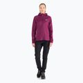 Dámská fleece mikina Jack Wolfskin Hydro Grid Fleece růžová 1709911 2