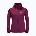 Dámská fleece mikina Jack Wolfskin Hydro Grid Fleece růžová 1709911 7