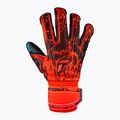 Reusch Attrakt Freegel Gold Evolution Cut brankářské rukavice červené 5370135-3333 4