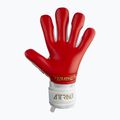 Reusch Attrakt Freegel Silver brankářské rukavice bílé 5370235-1011 6