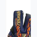 Brankářské rukavice  Reusch Attrakt Gold X Evolution premium blue/gold/black 5
