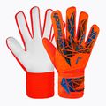 Brankářské rukavice Reusch Attrakt Starter Solid bright red/future blue