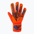 Brankářské rukavice Reusch Attrakt Starter Solid bright red/future blue 2