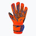 Dětské brankářské rukavice   Reusch Attrakt Silver Junior hyper orng/elec blue/blck 2