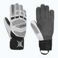 Pánské lyžařské rukavice Reusch Worldcup Warrior DG white/glacier