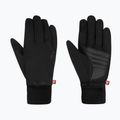 Lyžařské rukavice Reusch Walk Stormbloxx Touch-Tec black