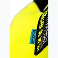 Brankářské rukavice Reusch Attrakt Gold X Evolution yellow/silver/black 6