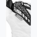 Brankářské rukavice Reusch Attrakt Gold NC white/silver/black 8