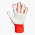 Brankářské rukavice Reusch Attrakt Starter Solid shocking orange/blue 3